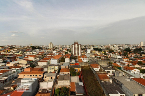 Apartamento À Venda - Vila Esperança, 2 Quartos, 61 - S893120095