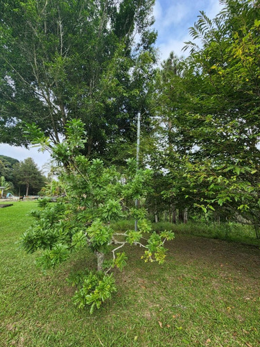 Imagem 17 de 17 de Chácara Com Ótima Localização 3 Quartos 5.300 M²