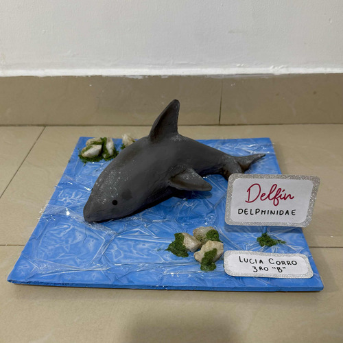 Maquetas Y Trabajos Escolares