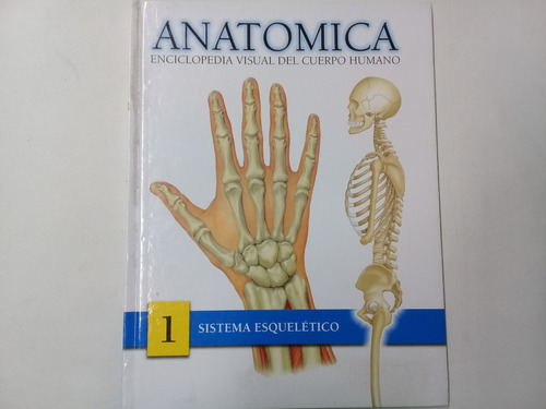 Anatomica Enciclopedia Del Cuerpo Humano Sistema Esqueletico