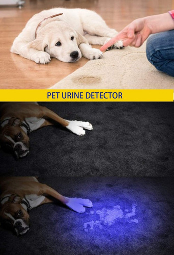 Linterna Led Uv Negro Luz 395nm Linterna De Mano Zoomablle 3