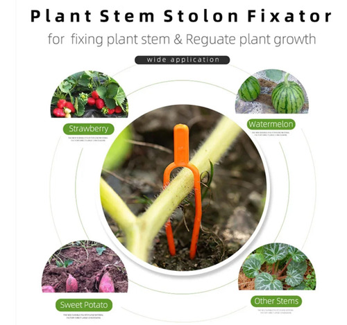 100 Clipes Fixadores De Videiras De Plantas De Jardinagem