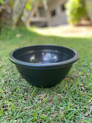 Vaso Rosa Do Deserto 6,6lts 15 Unidades Plasmont