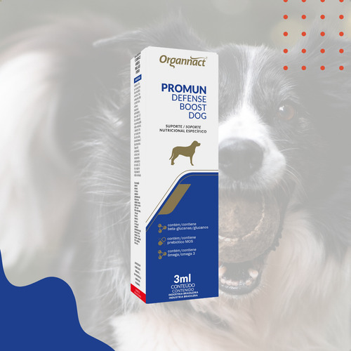 Kit 2 Promun Defense Boost Dog 3ml Suplemento Cães Vitaminas Organnact | Lojão Do Ferro