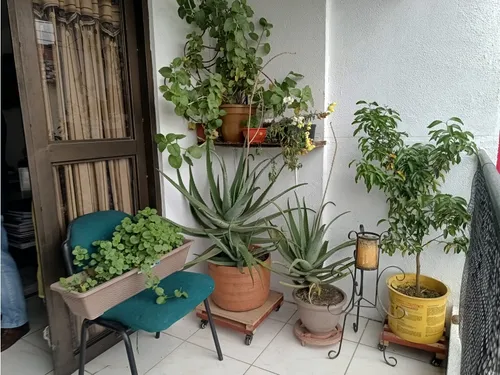 Venta Casa De Dos Niveles Independientes Dosquebradas-los Naranjos