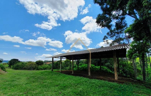Imagem 29 de 30 de Sítio Em Meio As Montanhas A Venda - Bueno Brandão/mg - Si0015