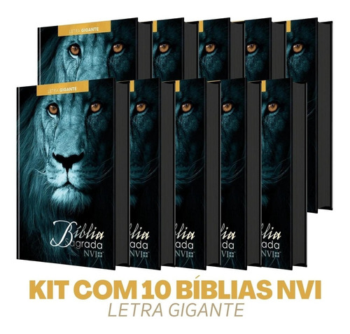 Kit 10 Bíblias Letra Gigante Versão Nvi Unissex - Capa Dura