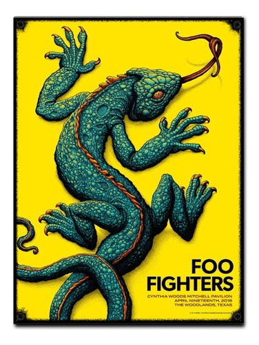 #746 - Cuadro Vintage / Foo Fighters Poster Rock No Chapa
