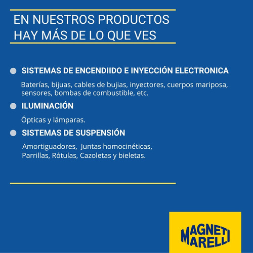 Cable Y Bujia Ford Fiesta Focus Ecosport 1.6 8v Zetec Rocam