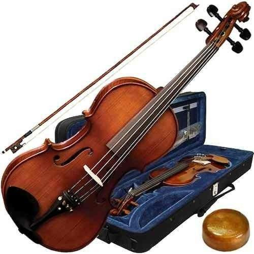 Viola De Arco 4/4 Envelhecido + Case Va180 Eagle Frete Gráti