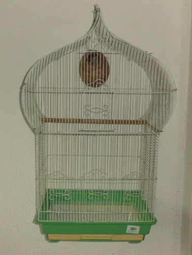 Imagen 10 de 10 de Oferta Jaula Grande Con Base Plastica Mas Accesorios
