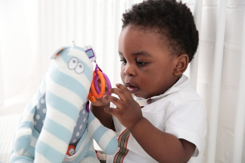 Peluche Interactivo Oso Hormiguero Bebe Dolce Toys