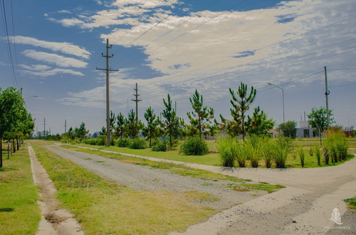 Imagen 4 de 4 de Lotes En Venta, Villa Albertina, Villa María