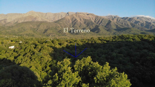 Imagen 8 de 17 de Hermosa Hectárea En Venta En Los Hornillos, Traslasierra Sobre Ruta, Escritura Y Servicios