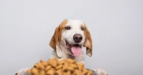 Alimentación de calidad