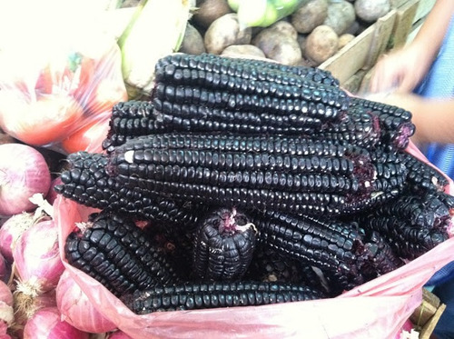 Imagem 3 de 7 de Milho Roxo Peruano - 30 Sementes Para Mudas - Preto Inca