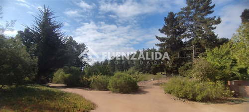 Casa 180 M2 - Terreno 11.200 M2 - Los Pinares De Algarrobo