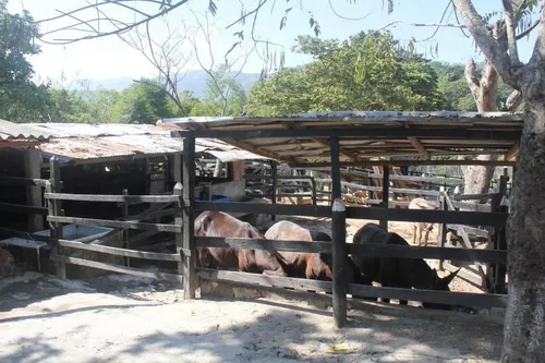 Finca En Ebéjico