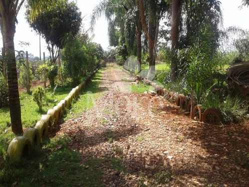 Imagem 2 de 30 de Chácara 11.000m² Em Engenheiro Coelho - Ch00014 - 33452159