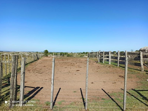 Se Venden 236 Hectáreas, Sobre Ruta 7, Entre Batlle Y Ordóñez Y Valentines. Campo De Sierra, Con Aptitud Ganadero Forestal.