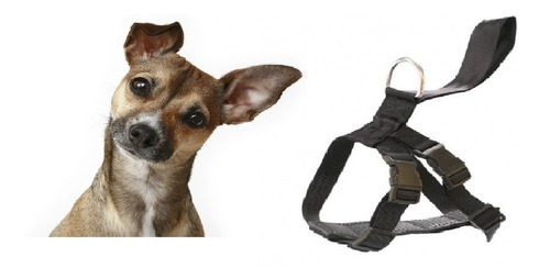 Cinturon Seguridad Perros Autos Viajar Paseos Small El Mejor Color Negro