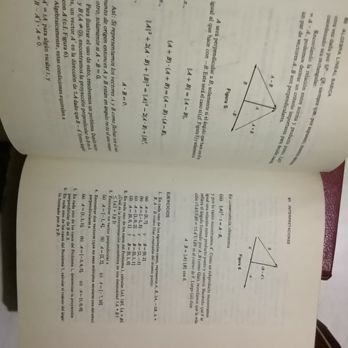 Introducción Al Álgebra Lineal. Tetra. (Usado)