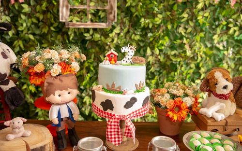 Imagem 6 de 10 de Fotógrafo Festa Infantil