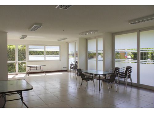 Depto.1 Dormitorio Semiamoblado Ucm, Incap, Mall Plaza Maule