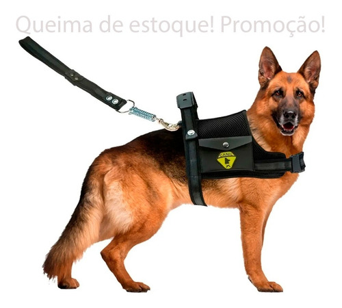 Peitoral Coleira Com Guia Cão Cachorro Com Regulagem