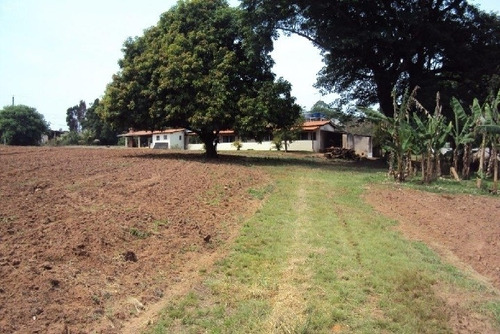 Imagem 14 de 18 de Venda - Sítio Jardim Monções / Iperó/sp - 4815