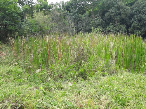 Chácara No Sul De Minas , Cidade De Seritinga, Apenas 3,5 Klm De Terra , Lago , Riacho. - 508
