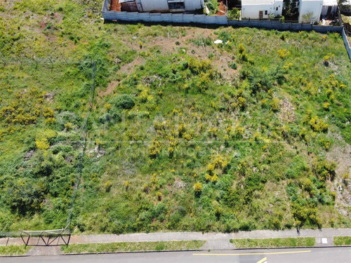 Sitio En Venta En Concepción