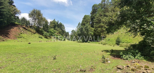Imagen 13 de 18 de Terreno En Venta.