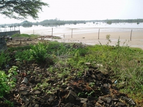 Imagen 20 de 30 de Maria Eugenia Blanco Vende Terreno En Morrocoy, Falcon 386942