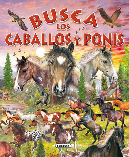 Busca los caballos y ponis, de Susaeta, Equipo. Editorial Susaeta, tapa dura en español