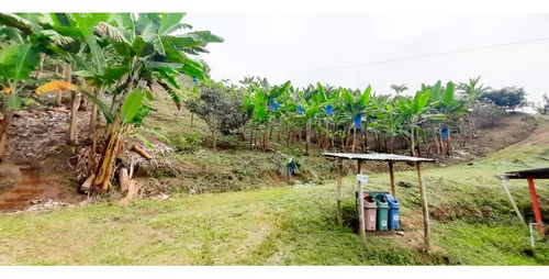 Venta Finca - Vereda Coco Hondo - Balboa