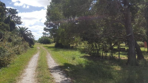 Imagen 1 de 11 de Terreno En Venta En Punta Indio