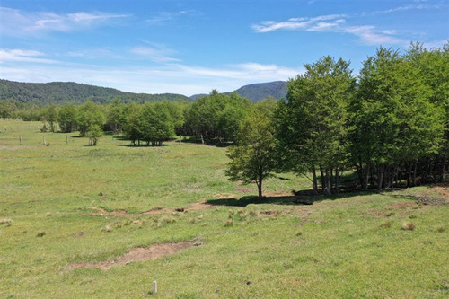 Terreno 5.000 M2 A Pocos Metros Pueblo Malalcahuello