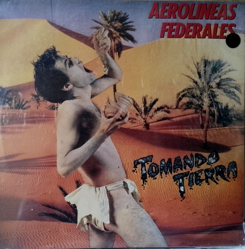 Aerolíneas Federales - Tomando Tierra. Vinilo, Lp, Album.