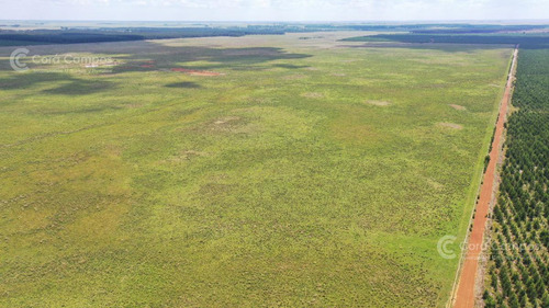 Se Vende Campo Ganadero De 505 Ha En Virasoro, Corrientes