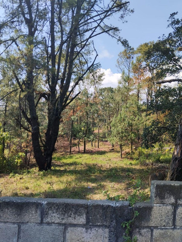 Terreno Plano Con Todos Los Servicios