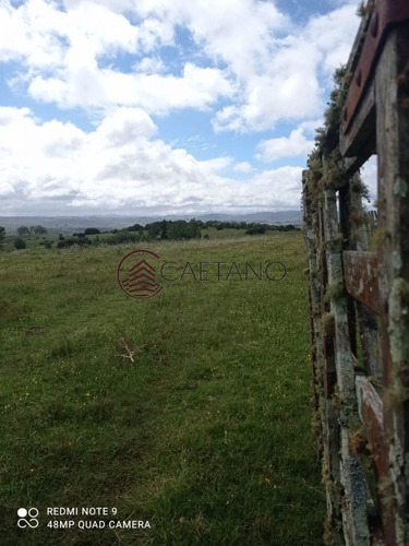 Imagen 2 de 25 de Venta De Campo, Maldonado.campo De 41 Hectáreas, Próximo A Pueblo Edén - Pueblo Eden