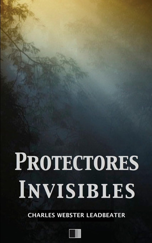 Libro Protectores Invisibles (spanish Edition)