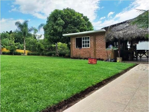 Imagen 7 de 30 de Venta Casa 6 Tepoztlán Pueblo Mágico Magnífica Propiedad En Oferta A Precio De Terreno