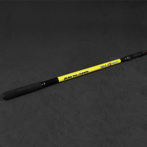 Vara Pesca Praia Carbono Albatroz Bora 4,50 Metros 100-200 G