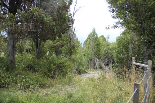 Imagen 10 de 15 de Terreno - Villa Lago Meliquina - 1000m2