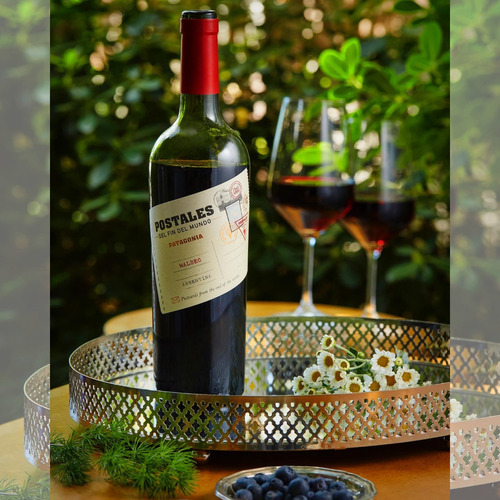 Vino Tinto Postales Fin Del Mundo Malbec 6x750 Ml