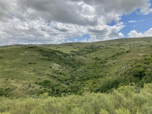 Imagen 17 de 20 de Venta Chacra Sierra Ruta 39 Aigua Sierra De Los Caracoles