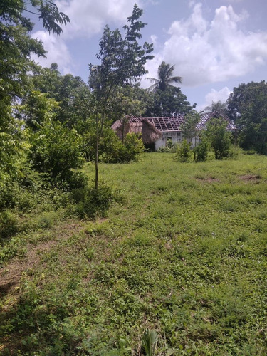 Imagen 10 de 17 de Venta 199 Hectáreas - Para Cultivo Y Ganado