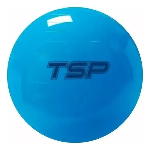 Imagen 1 de 3 de Pelota Pilates Esferodinamia Medicinal 45 Cm Gym Cuerpos Did